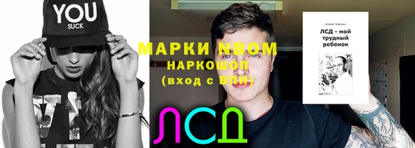 хмурый Арсеньев