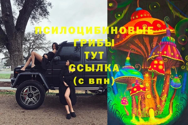 хмурый Арсеньев