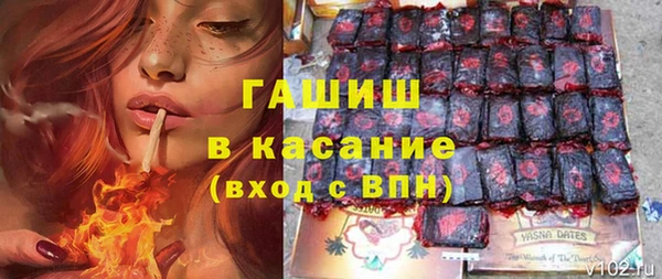 хмурый Арсеньев