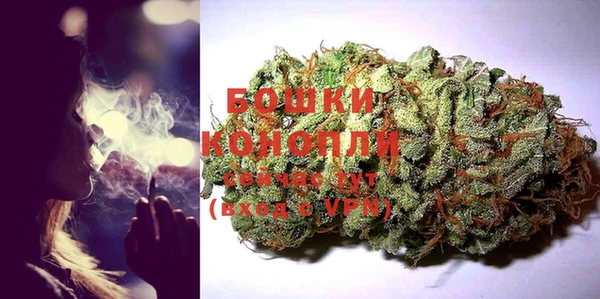 прущие грибы Бабаево