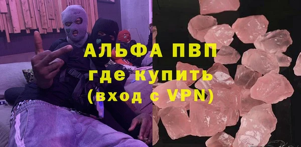 хмурый Арсеньев