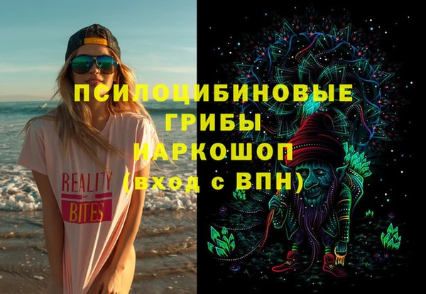 хмурый Арсеньев