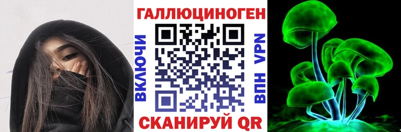 цена Вихоревка Галлюциногенные грибы Cubensis